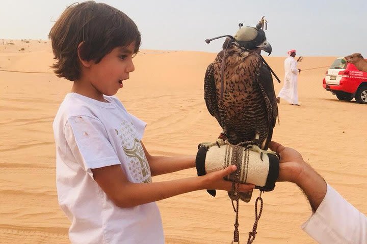 Sunset Camel Trekking Safari with Falcon Show and VIP BBQ Dinner image