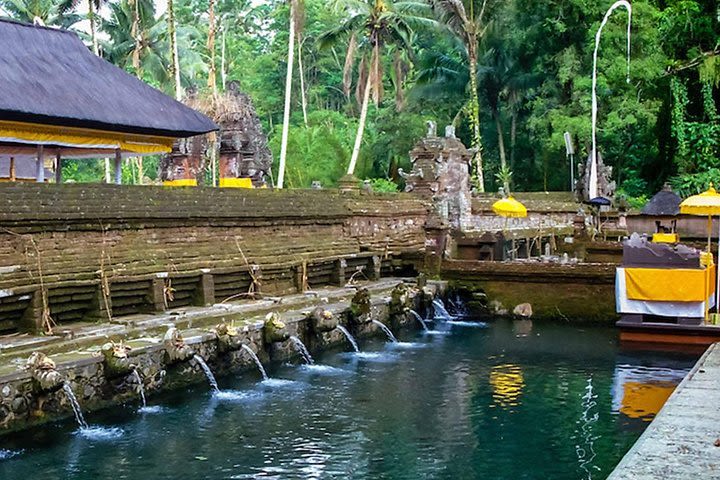 Ubud - Waterfall - Jungle Swing - Monkey Forest - Rice Terrace - Free WiFi image