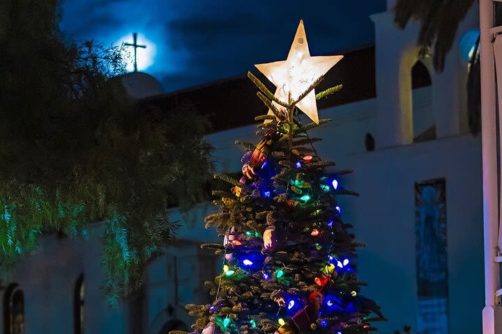 Savannah Holiday Lights Trolley Tour image