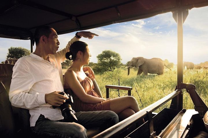 3-Day Kruger Big 5 Safari from Johannesburg image