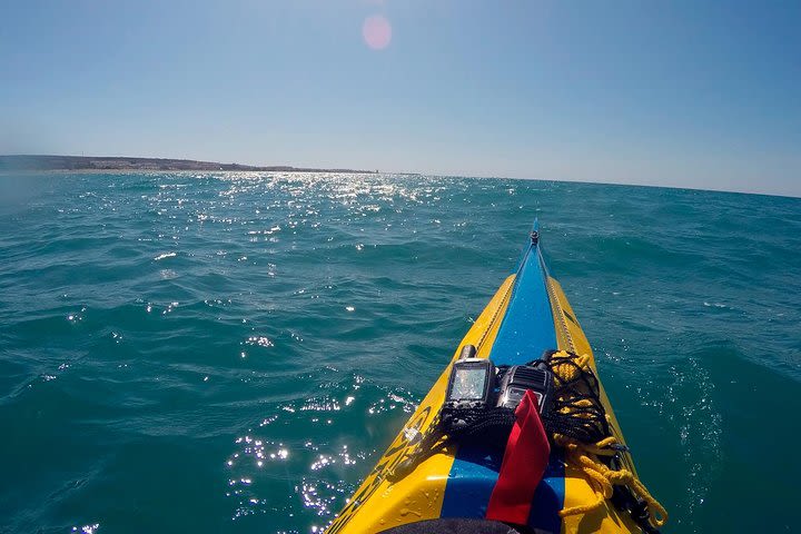 Guided Kayak Tour and Paella Lunch at the Beach in Valencia image