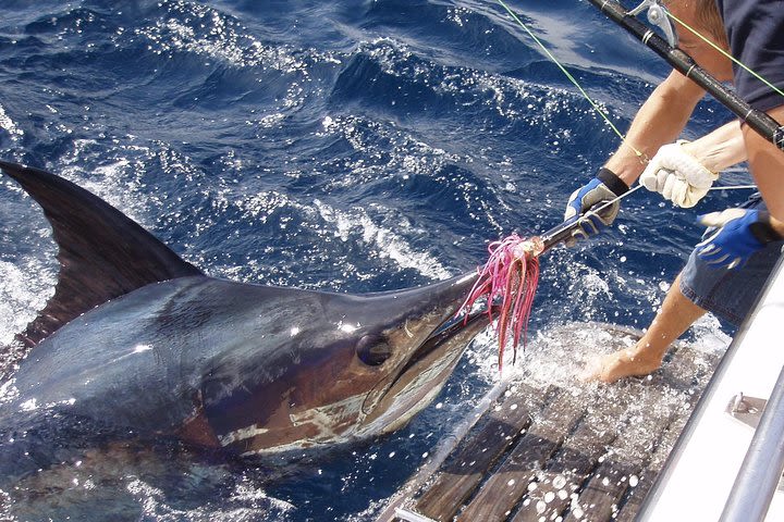 Big Game Fishing near Albufeira image