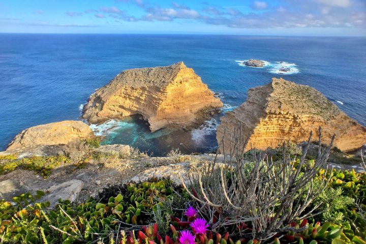 Port Lincoln Day Tour: Tasting Eyre image