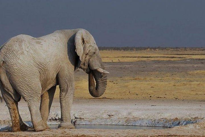 06 Days Etosha and Sossusvlei Namibia  image