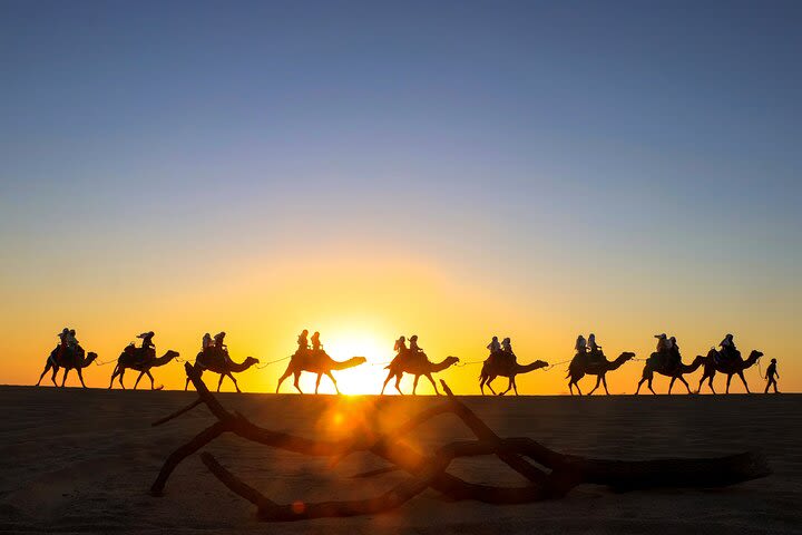 Camel Ride on the beach and tacos image