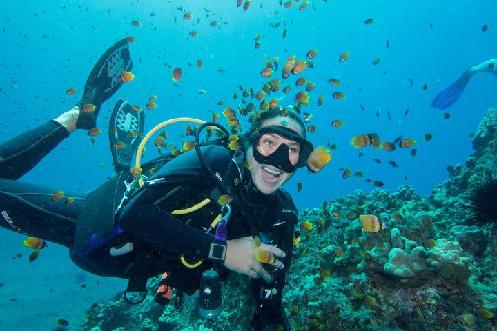 Maui Scuba Diving Introductory Lesson from Lahaina image