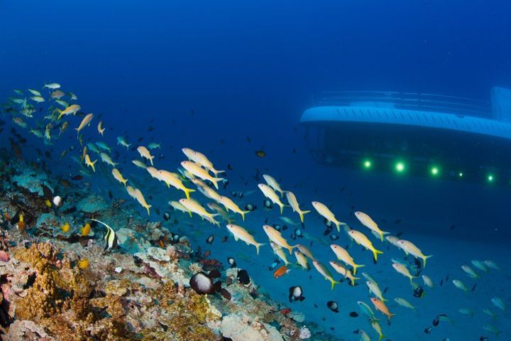 Maui Atlantis Submarine Adventure image