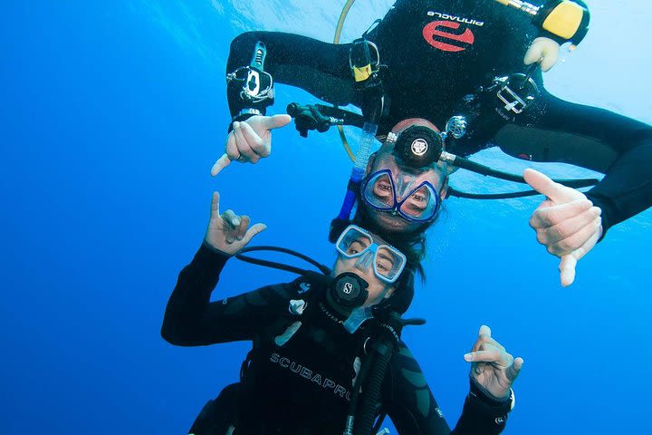 SSI Discover Scuba Diver with 1 dive in the Ocean image