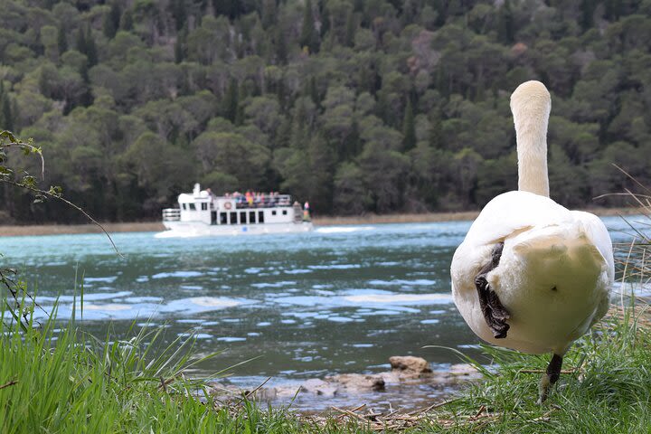 Krka Waterfalls Tour with Wine and Olive Oil Tasting image