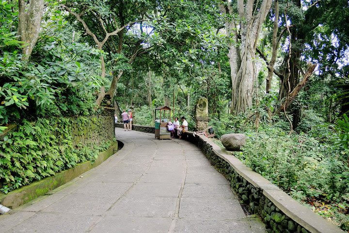 Bali Countryside Ubud Tours image