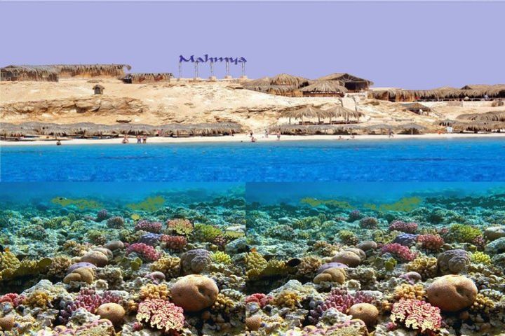 From Hurghada: Full-Day Snorkeling Tour image