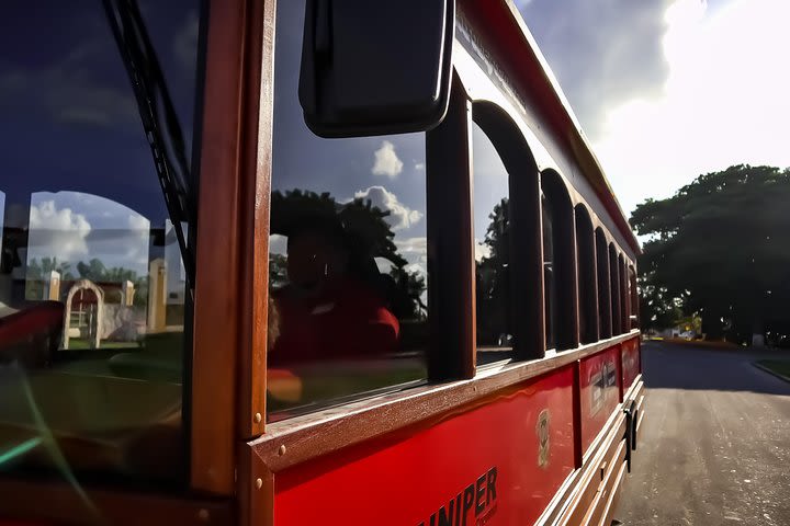 Cozumel City Tour By Trolley image