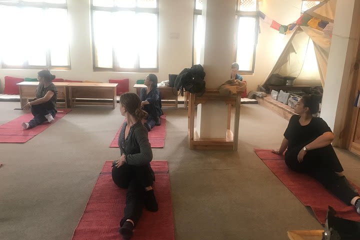 Small-Group Classical Hath Yoga in Leh image