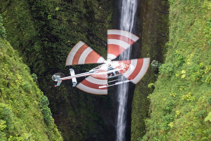 Kapolei: O'ahu Circle Island Helicopter Experience  image