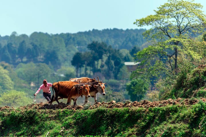 Tamang Heritage Trail Trekking image