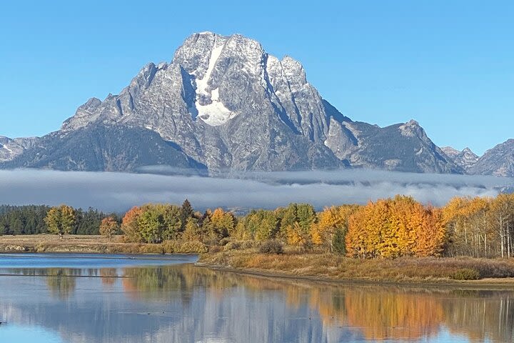 5 Person Full Day PRIVATE Yellowstone Tour- Picnic, Binoculars, Scope, Huge Van image