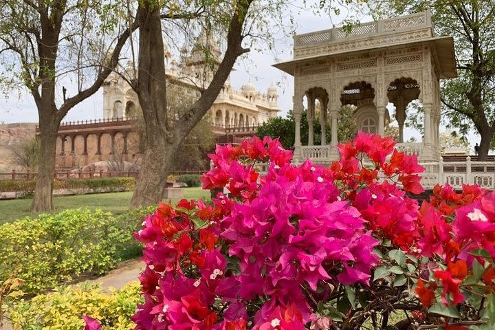 Jodhpur Blue City Tour image