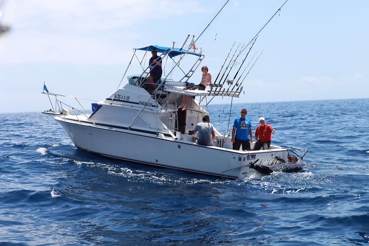 4-Hour Shared Fishing Charter in Tenerife image