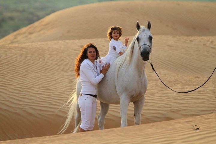 Private 2 Hours Horse Riding With Professional Trainer At Desert &Sea - Hurghada image