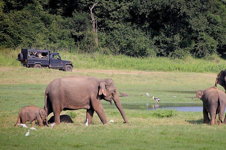 4-Day Safari Tour to Lake Nakuru and Masaai Mara image