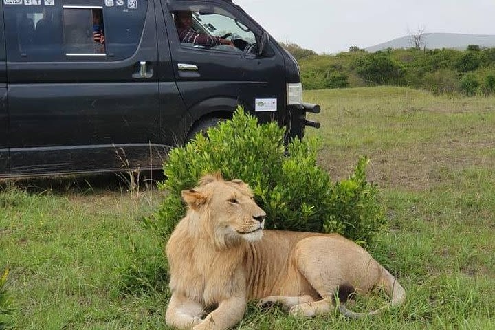 Day Trip excursion Nairobi. image