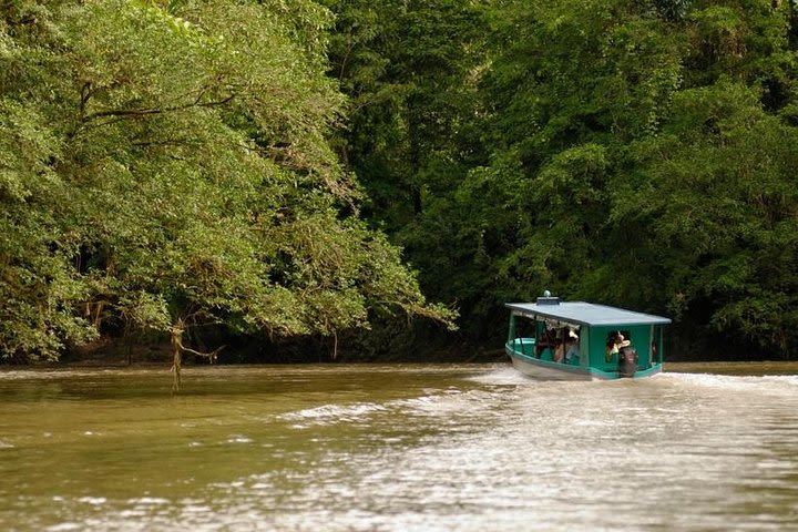 Safari on Sarapiqui River From San Jose image