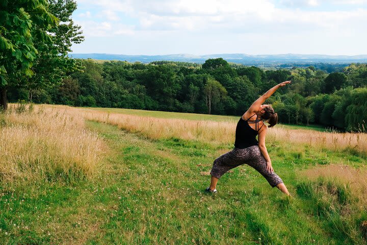 Yoga, Forest Bathing and Foraging day retreat near Brighton image