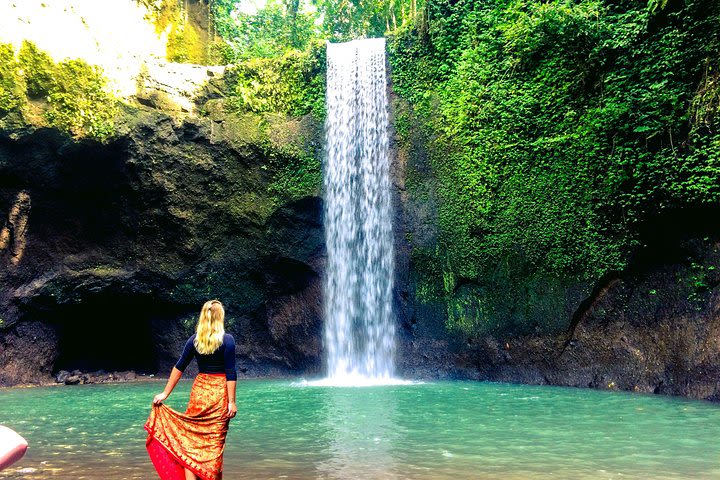 Bali Waterfalls and Temples Tour image