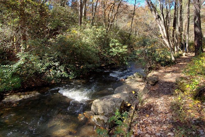 North Carolina Arboretum Running Tour in Asheville image