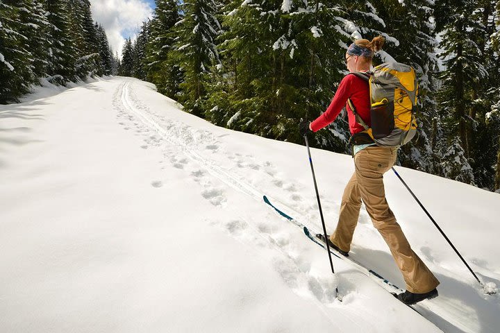 Half-Day Guided Backcountry Ski Touring Experience near Incline Village image