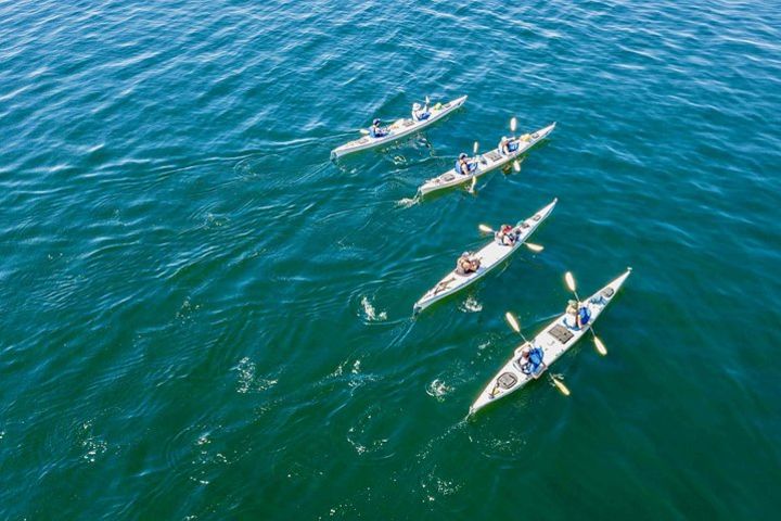 Kayaking Tour in The San Juan Islands, Washington  image