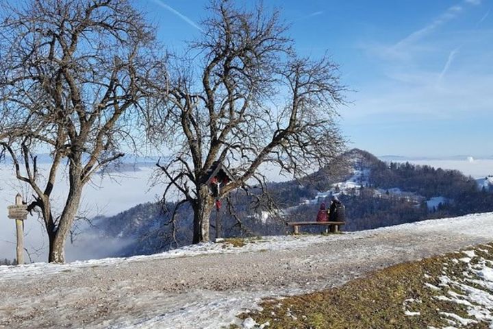 Hiking Above Ljubljana, View To The Alps image