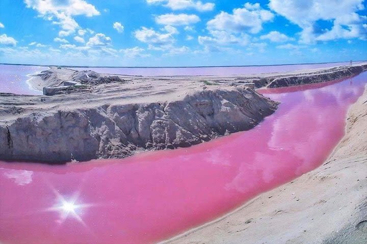 Pink Waters of Las Coloradas, Pink Flamingos and Colonial City of Valladolid, image