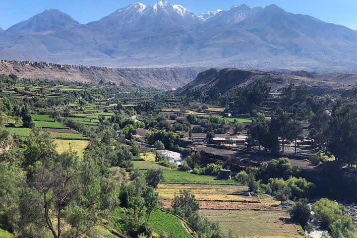 City Tour in Arequipa, Historic Center and Viewpoints around image