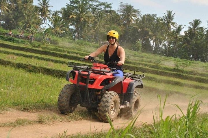 Quad Bike + Ubud Tour image