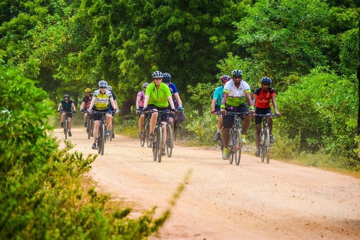 Cycling in Sigiriya Countryside  image