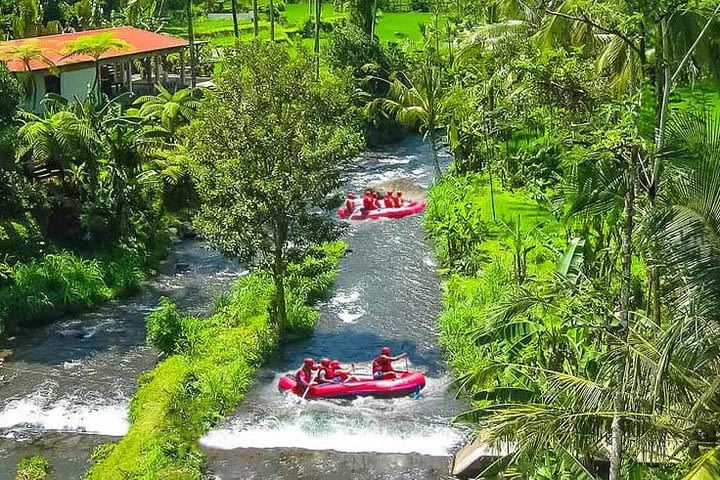 Ayung White Water Rafting and Bali Swing Packages image