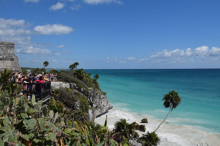 Tulum and Swim with Turtles from Playa del Carmen image