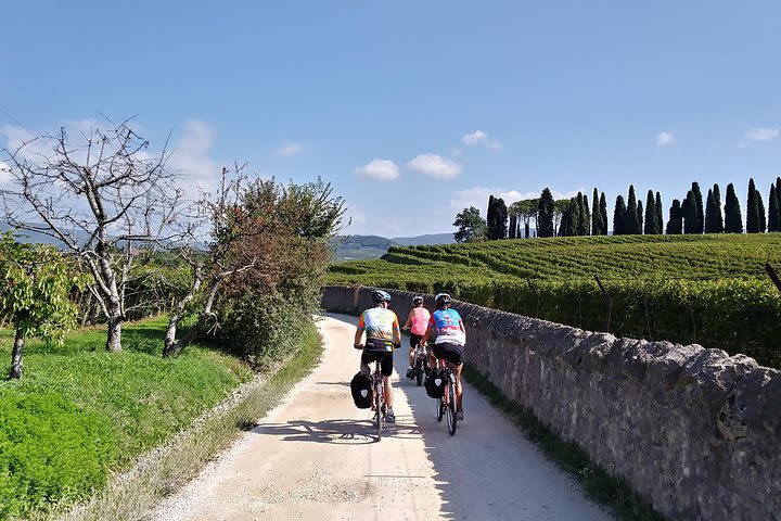 Verona and Lake Garda E-bike Tour image