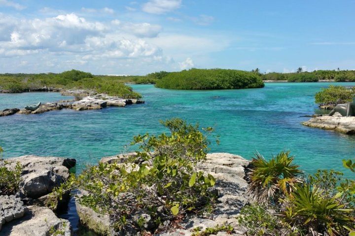 Snorkeling adventure in the Yal-Kú lagoon, Akumal + Cave-like cenote image