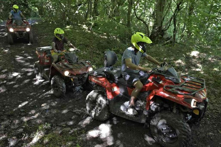 Quad Bike Tour From Telavi (Medium) image