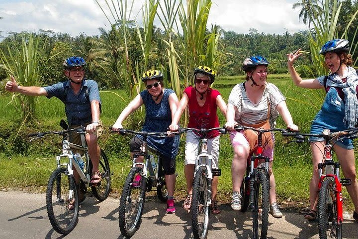 Ubud Cycling Tour image