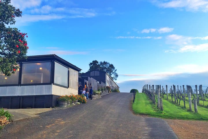 Premium Full Day Waiheke Wine Tour image