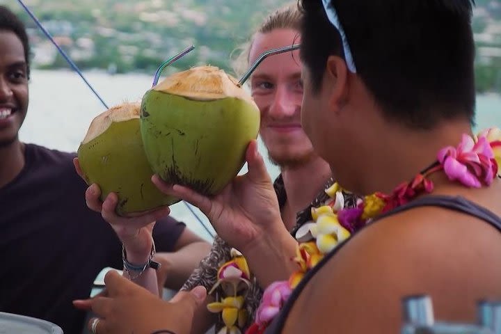 Discovery of the lagoon of Tahiti in Donuts Boats - 2 hour outing image