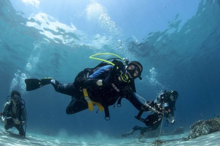 Scuba Diving Tour image