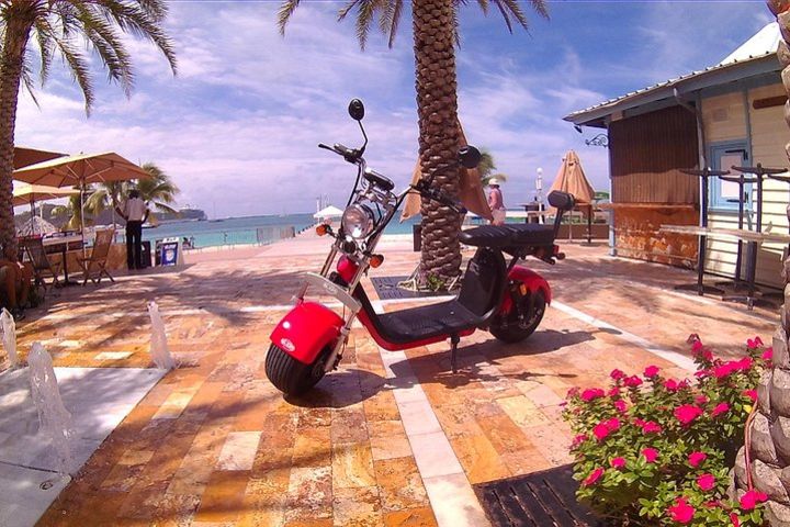 Electric Harley-scooters and Parrot Ville Combo Tour image