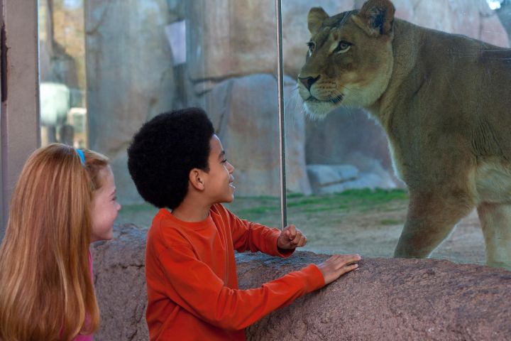 San Diego Zoo & Safari Park 2-Day Pass image