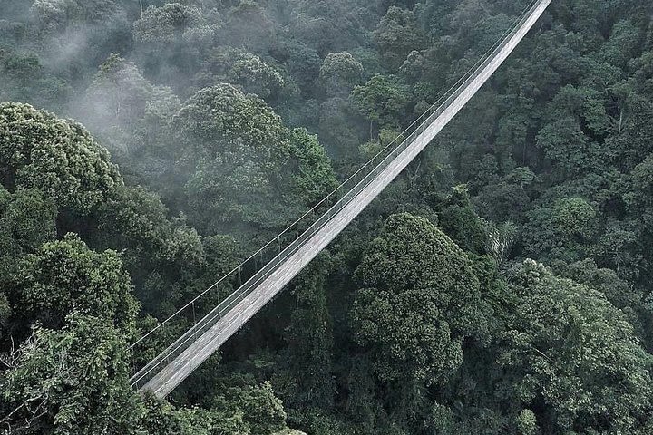 Suspension Bridge Sukabumi From Bandung image