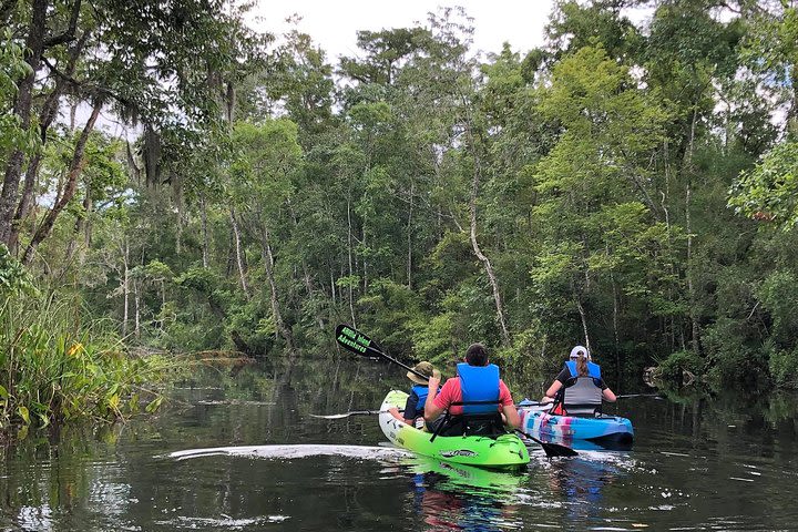 Self-Guided Kayaking: Real Florida Adventure image