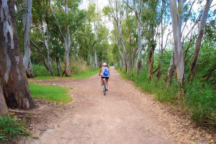 2 days by bike through beaches and natural parks of Valencia with guide image